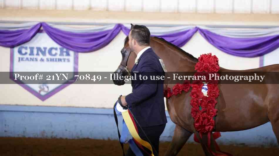 Proof Number 21YN_70849