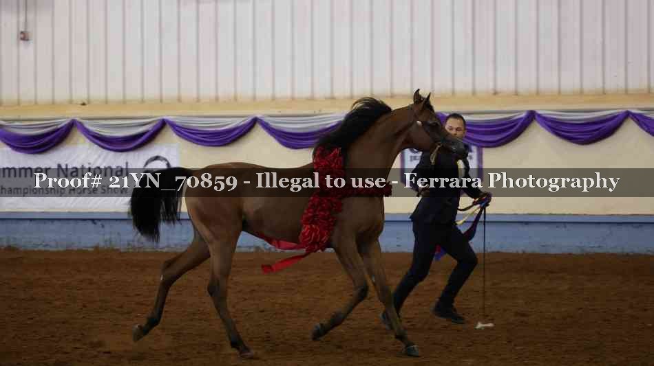 Proof Number 21YN_70859