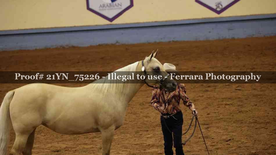Proof Number 21YN_75226