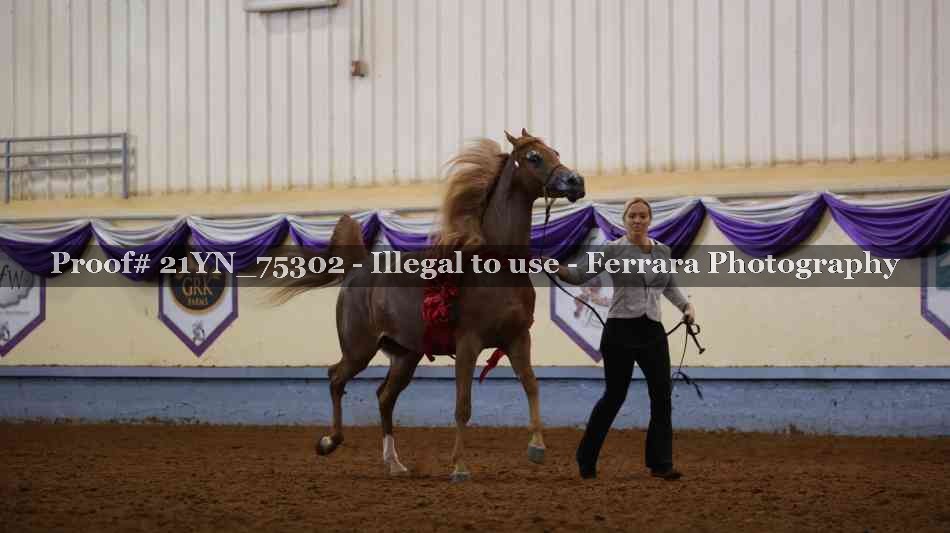 Proof Number 21YN_75302