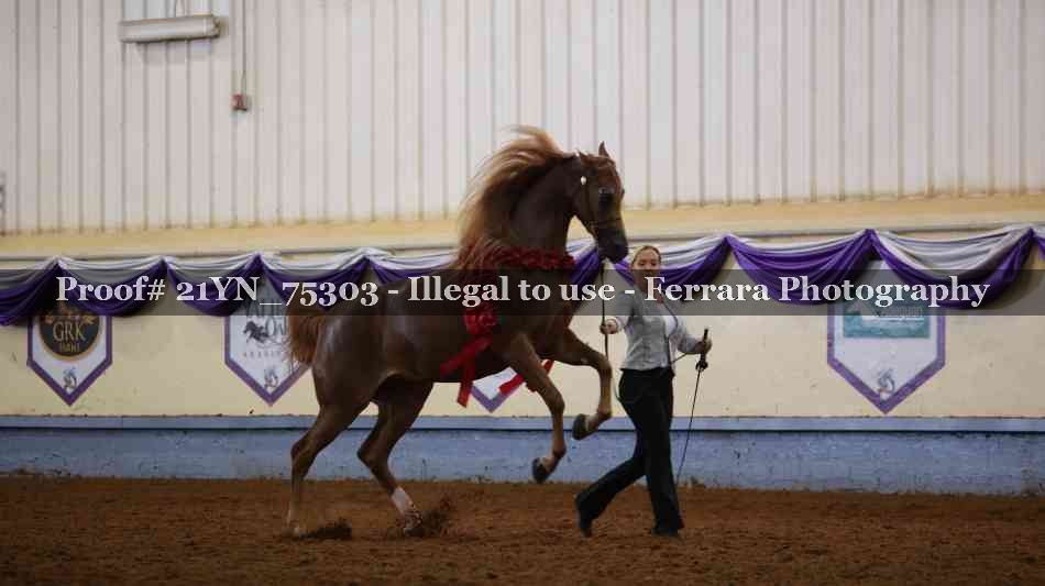 Proof Number 21YN_75303