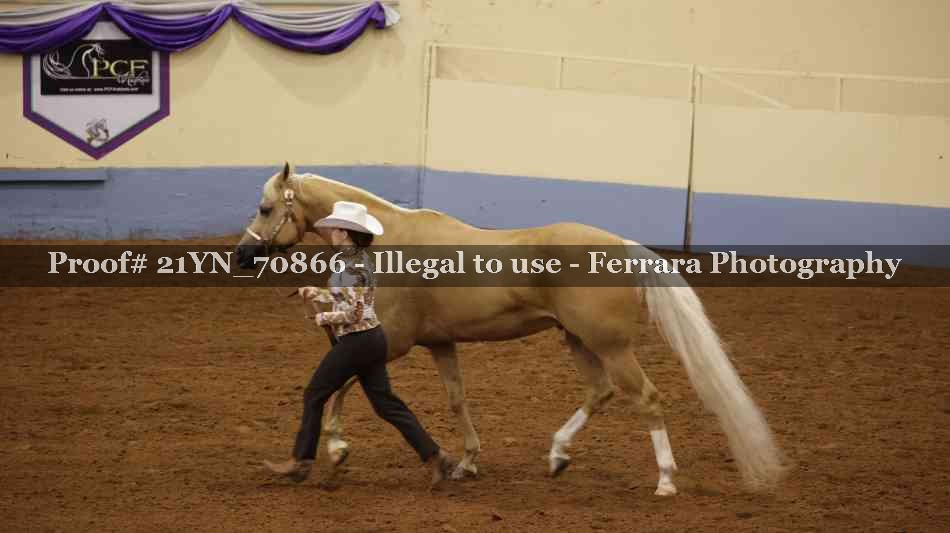 Proof Number 21YN_70866