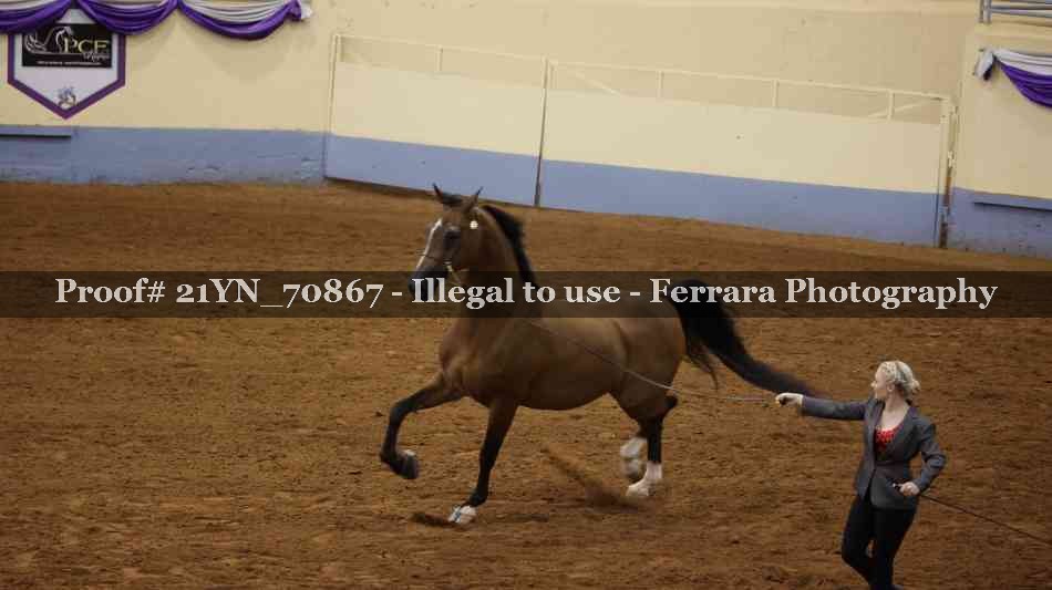 Proof Number 21YN_70867