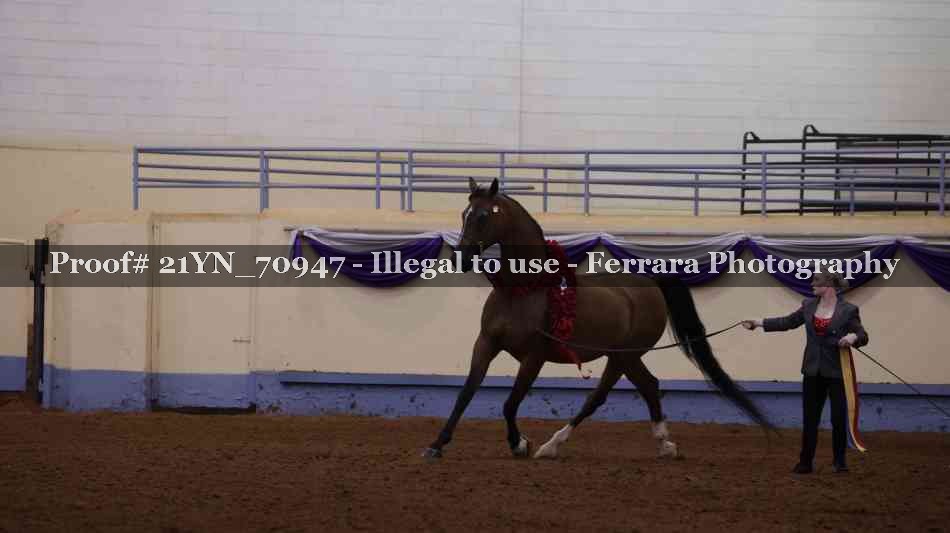 Proof Number 21YN_70947