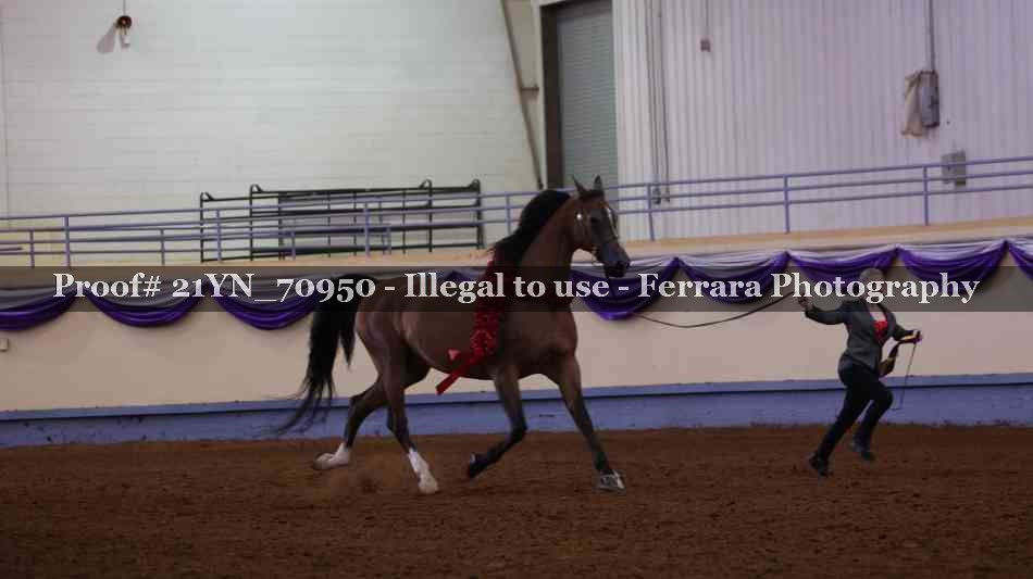 Proof Number 21YN_70950