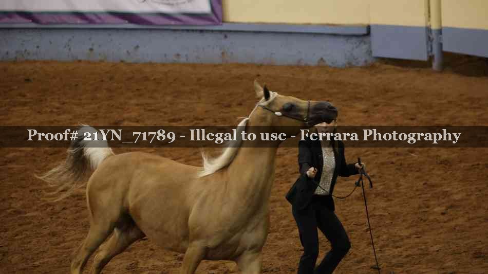Proof Number 21YN_71789