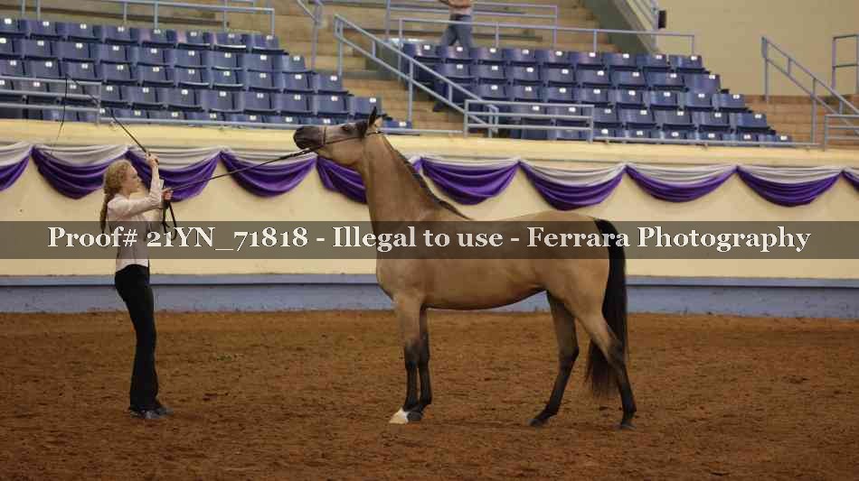 Proof Number 21YN_71818