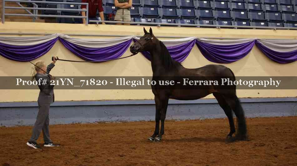 Proof Number 21YN_71820