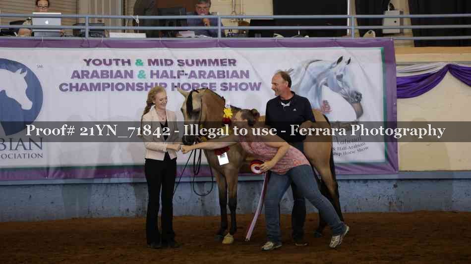 Proof Number 21YN_71842