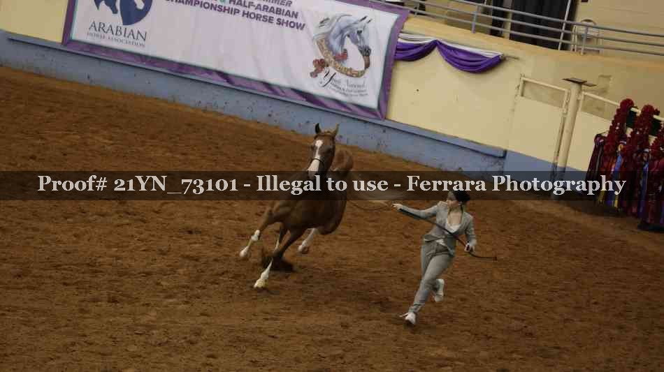 Proof Number 21YN_73101