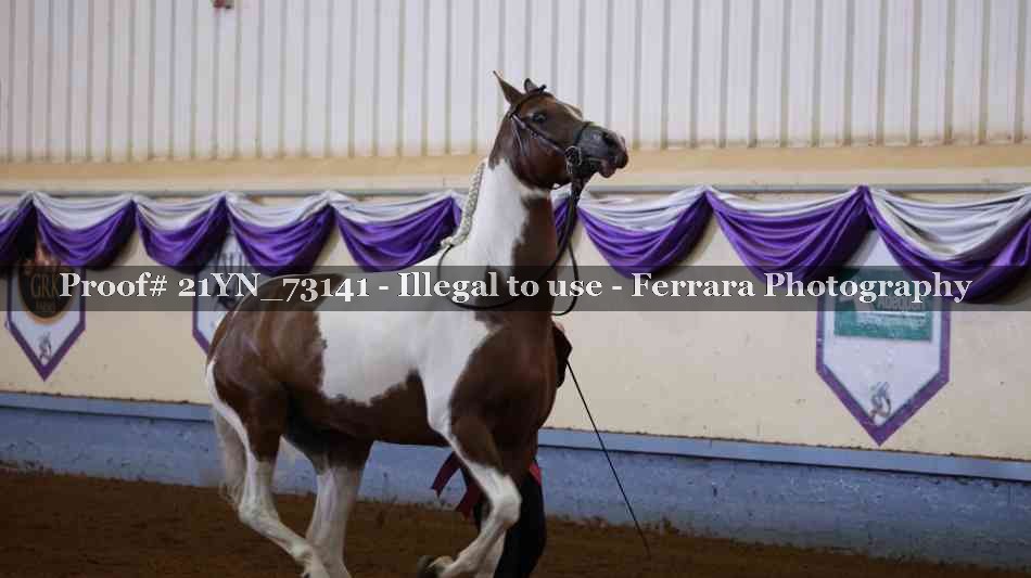 Proof Number 21YN_73141