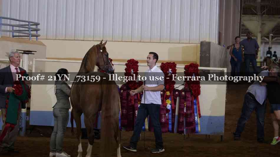 Proof Number 21YN_73159