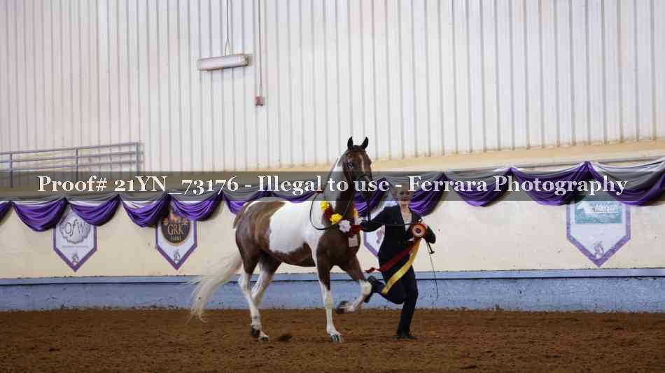 Proof Number 21YN_73176