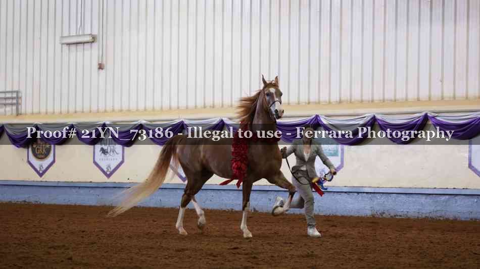 Proof Number 21YN_73186