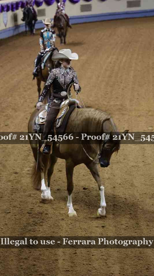 Proof Number 21YN_54566