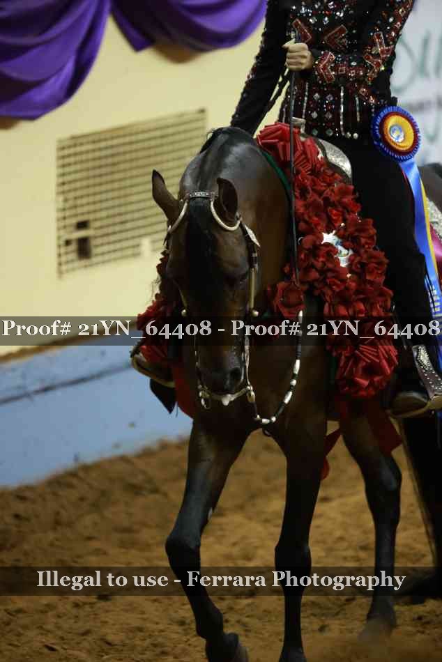 Proof Number 21YN_64408