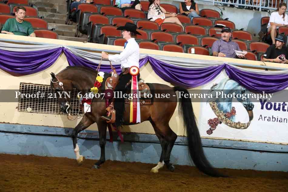 Proof Number 21YN_64607