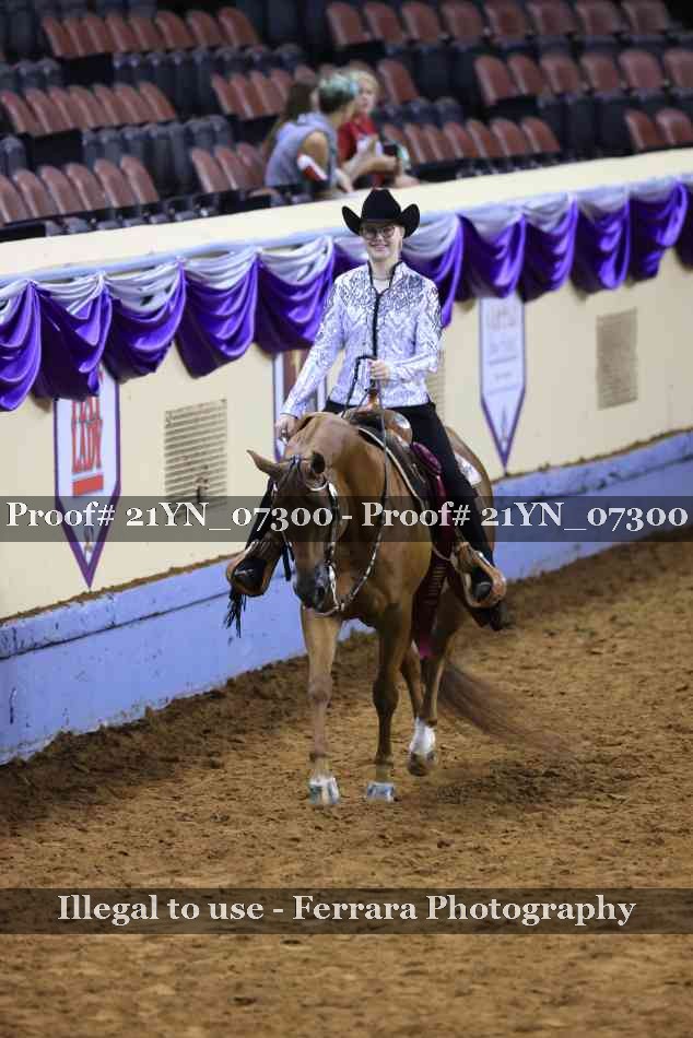 Proof Number 21YN_07300