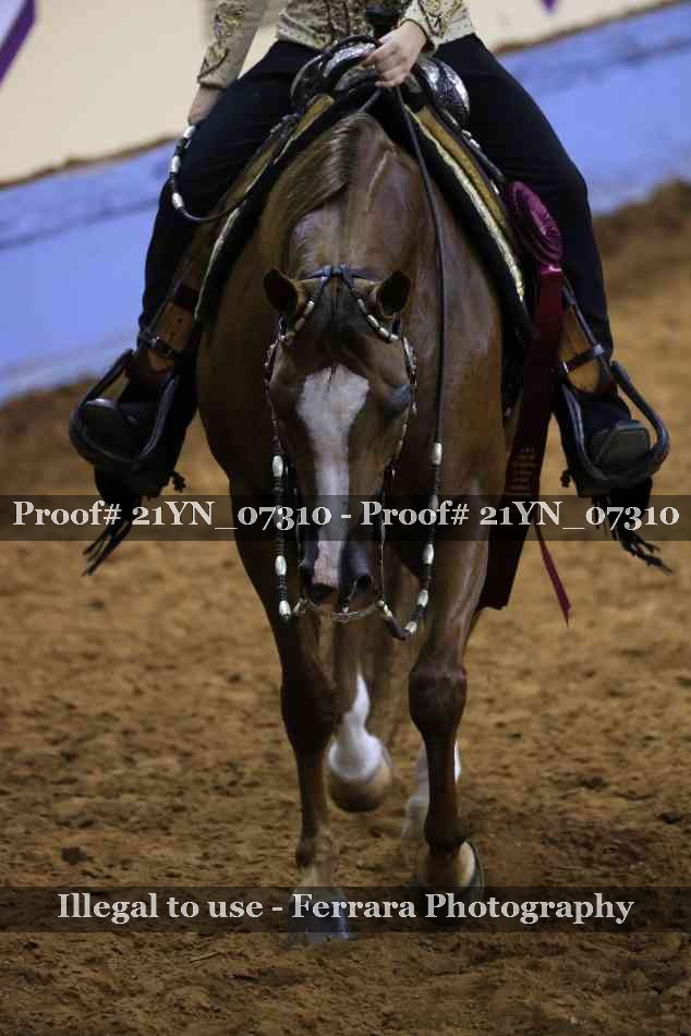 Proof Number 21YN_07310