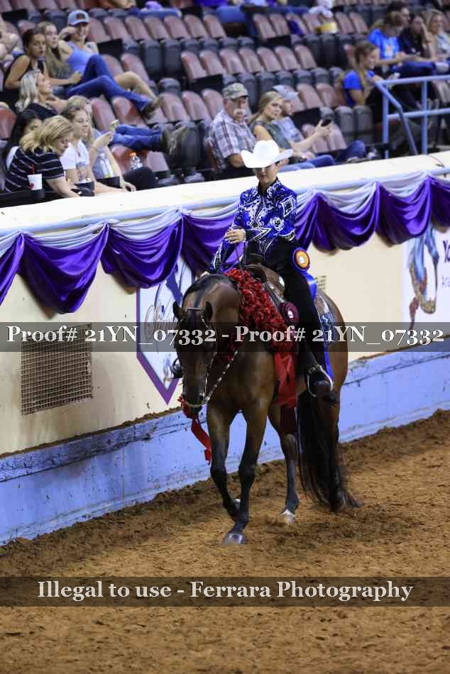 Proof Number 21YN_07332