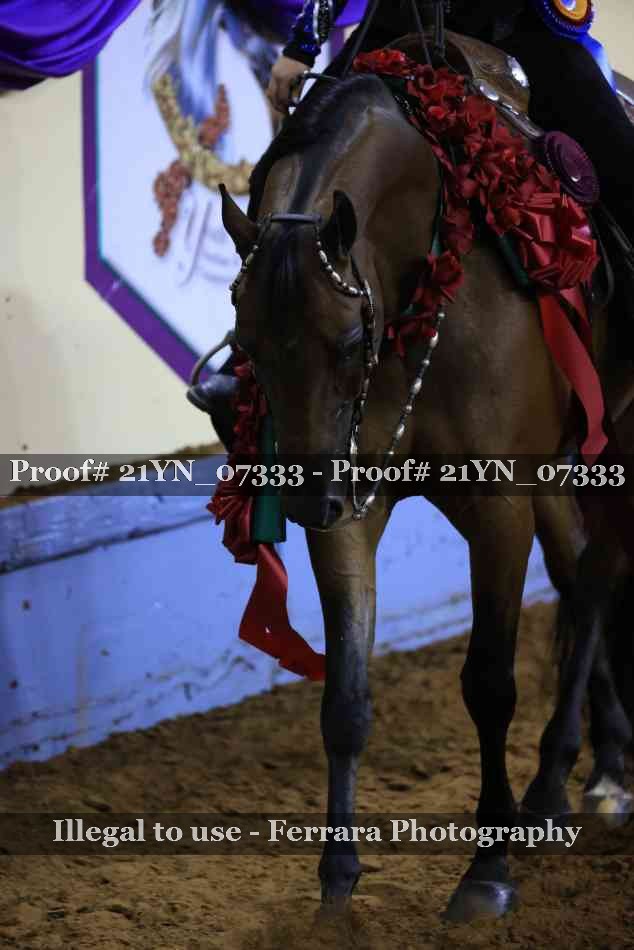 Proof Number 21YN_07333