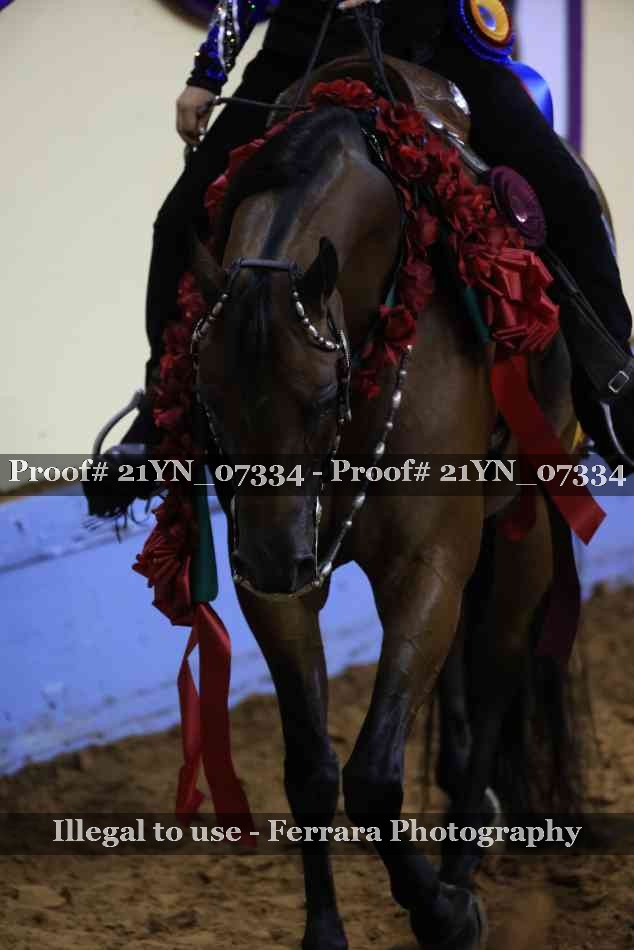 Proof Number 21YN_07334