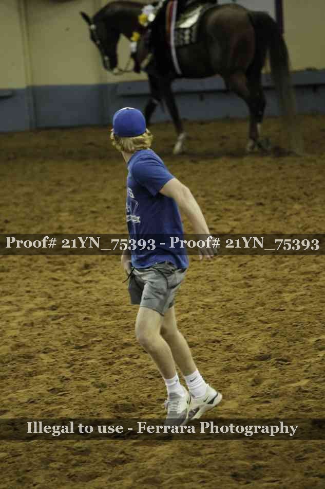 Proof Number 21YN_75393