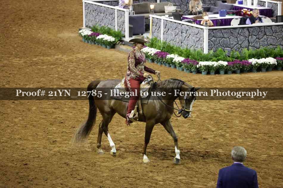 Proof Number 21YN_12785