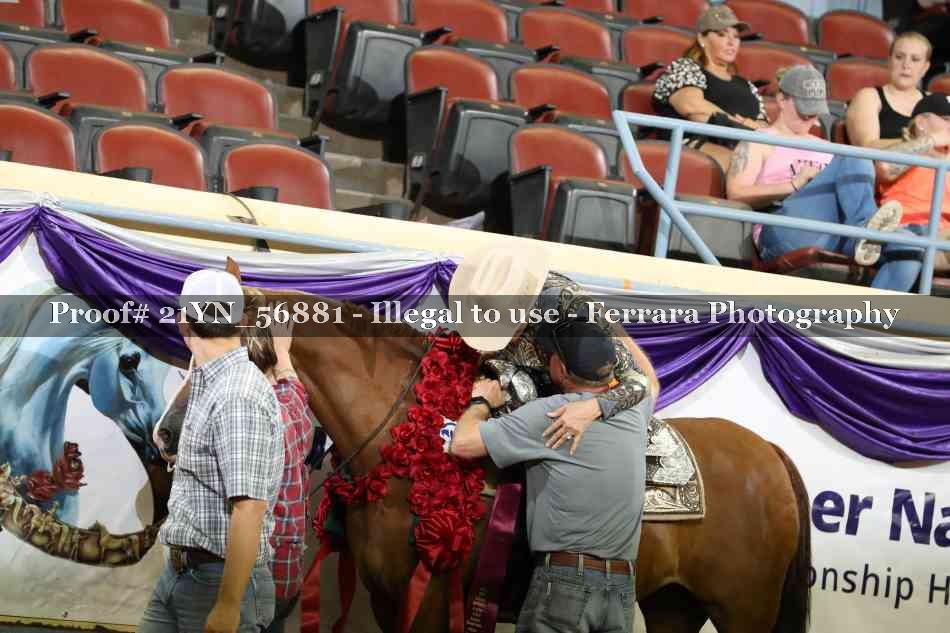 Proof Number 21YN_56881