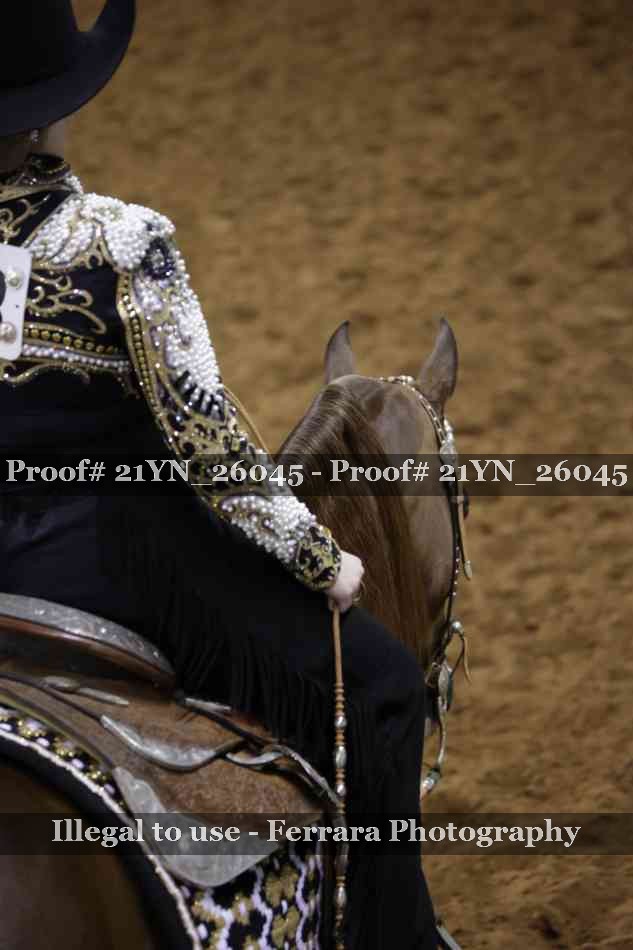 Proof Number 21YN_26045