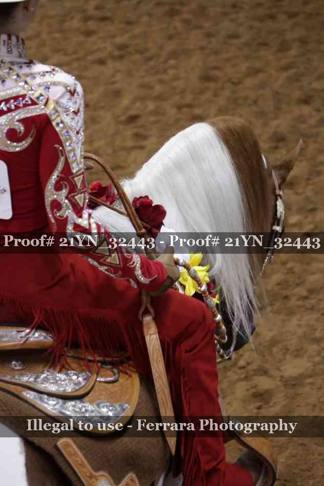 Proof Number 21YN_32443