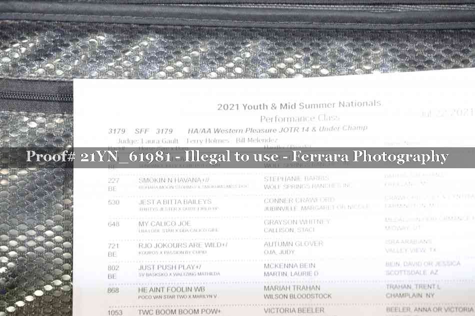 Proof Number 21YN_61981