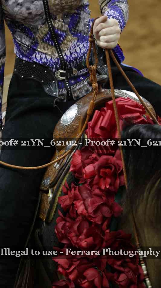Proof Number 21YN_62102