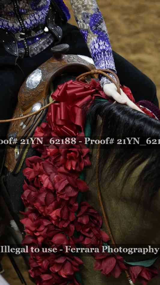 Proof Number 21YN_62188