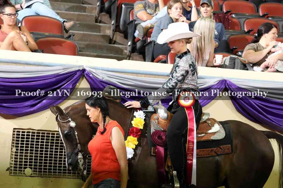 Proof Number 21YN_16993