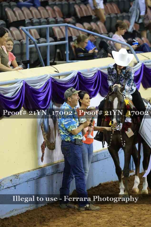 Proof Number 21YN_17002