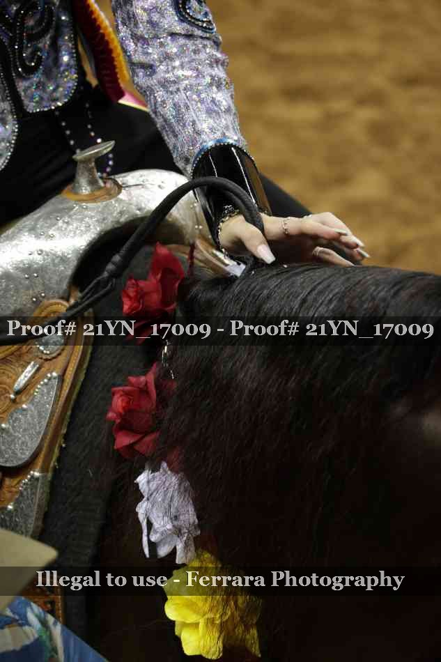 Proof Number 21YN_17009