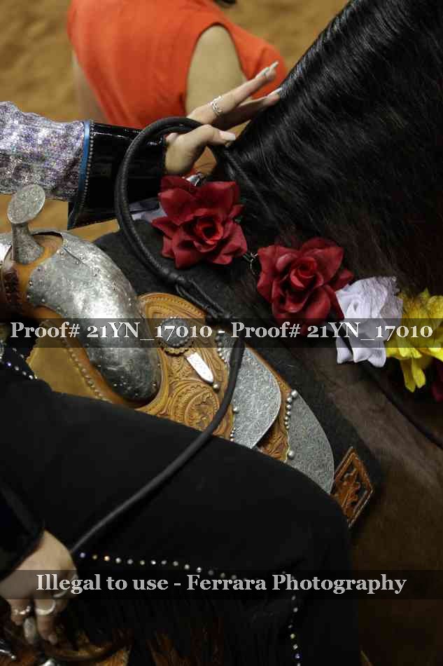 Proof Number 21YN_17010