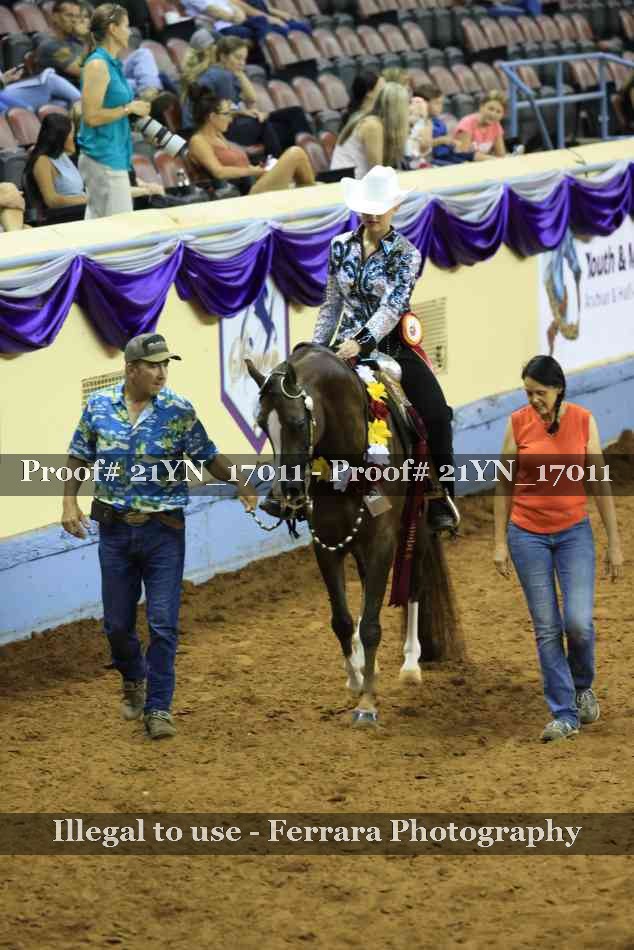 Proof Number 21YN_17011