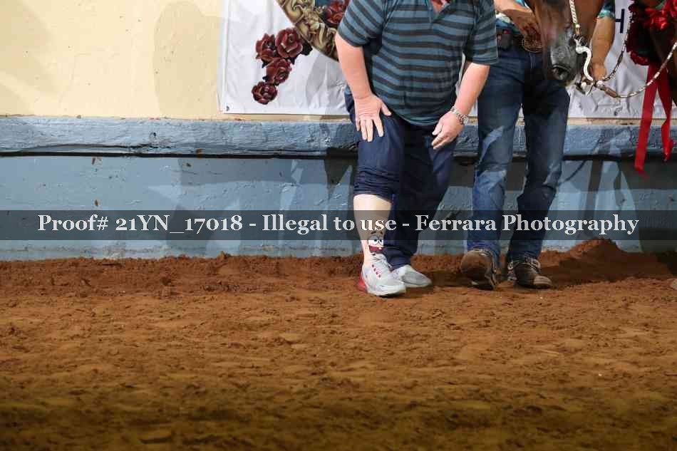 Proof Number 21YN_17018