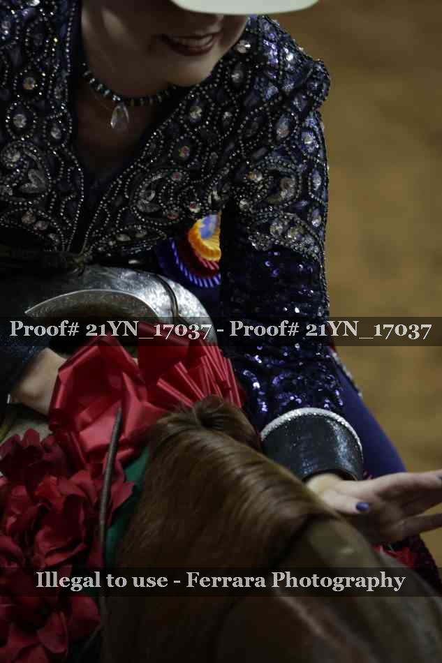 Proof Number 21YN_17037