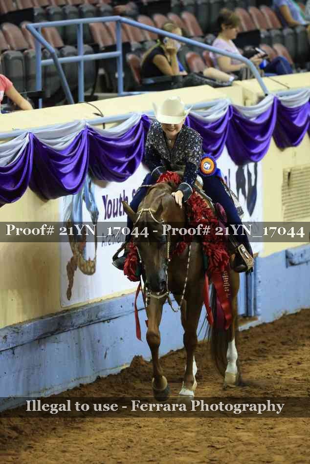 Proof Number 21YN_17044