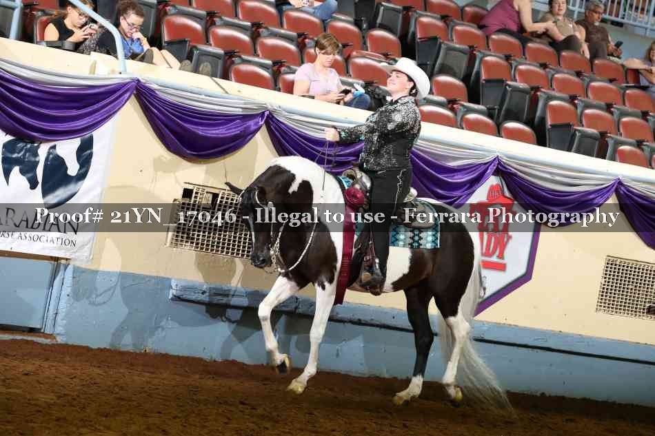 Proof Number 21YN_17046