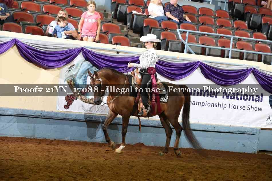 Proof Number 21YN_17088