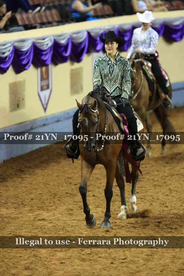 Proof Number 21YN_17095