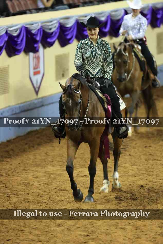 Proof Number 21YN_17097