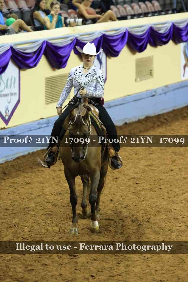 Proof Number 21YN_17099