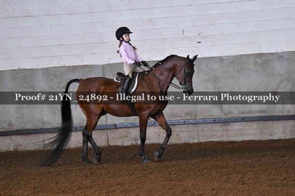 Proof Number 21YN_24892