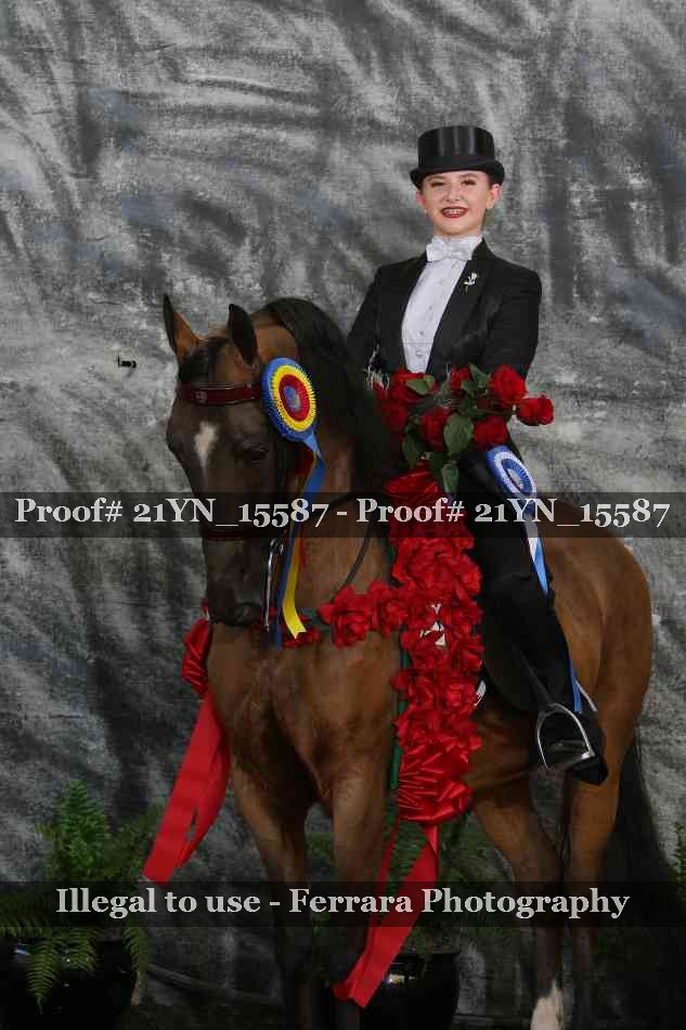 Proof Number 21YN_15587