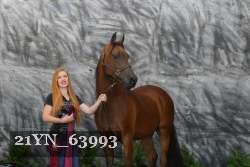 21YN_63993 thumbnail